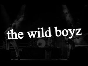 The Wild Boyz