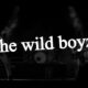 The Wild Boyz